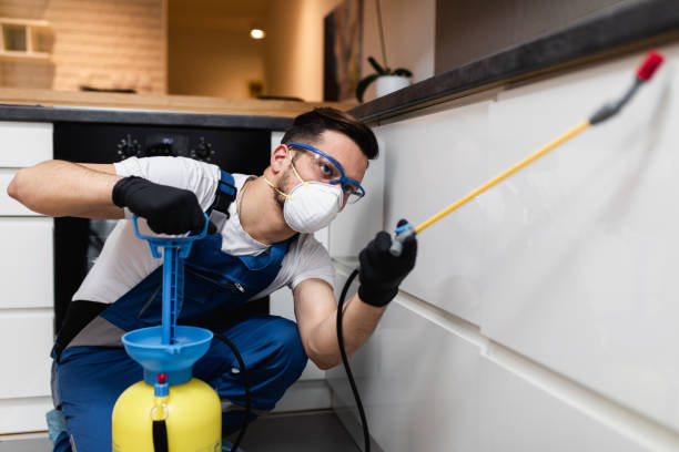 Pest Control for Restaurants in Duchesne, UT