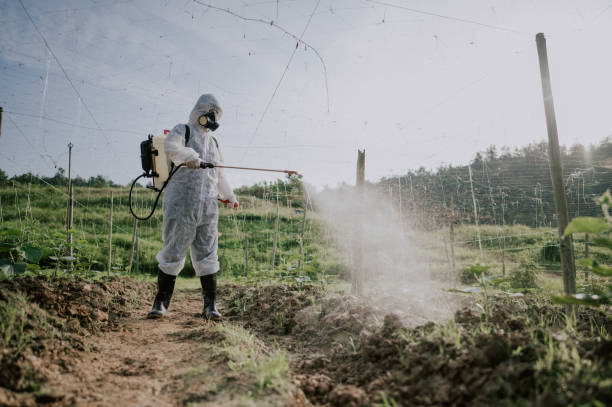 Best Commercial Pest Control Services  in Duchesne, UT