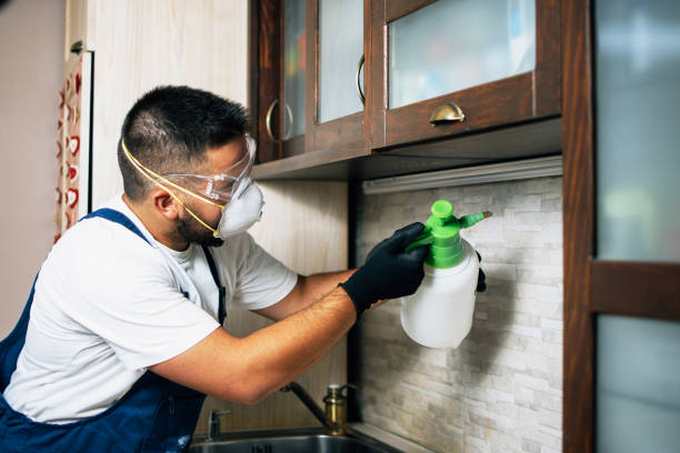 Best Residential Pest Control  in Duchesne, UT