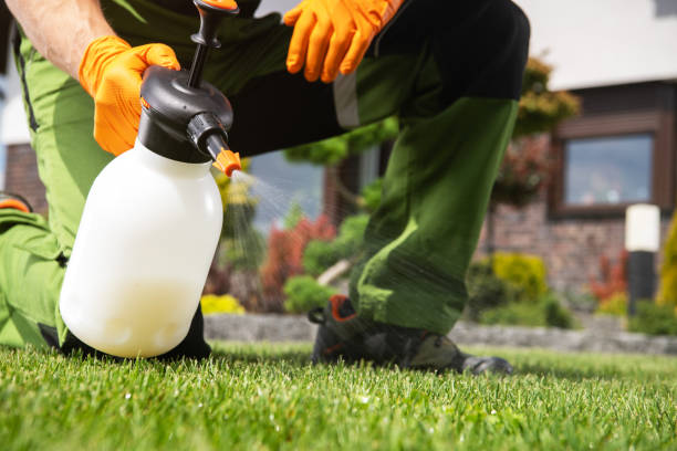 Best Insect Control  in Duchesne, UT