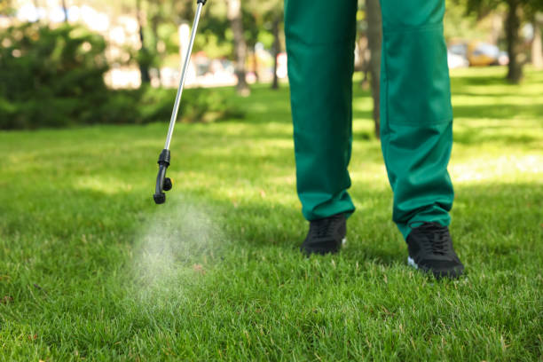 Best Pest Removal Services  in Duchesne, UT