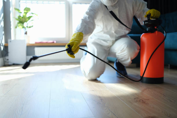 Best Pest Control Near Me in Duchesne, UT