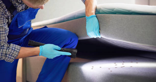 Best Affordable Pest Control Services  in Duchesne, UT