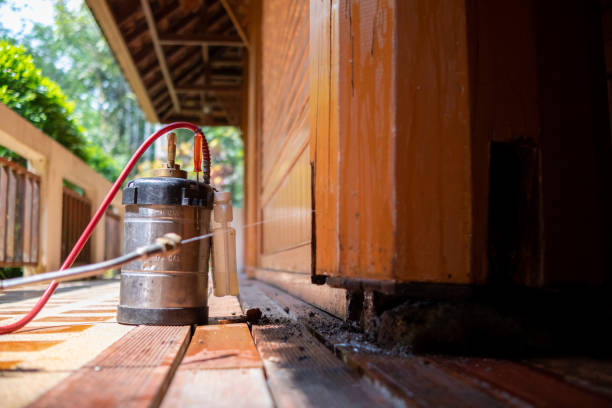 Best Cockroach Control Services  in Duchesne, UT