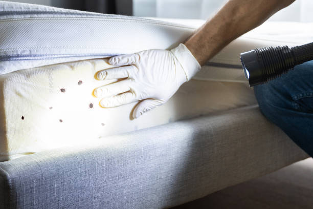 Best Ant Control Services  in Duchesne, UT