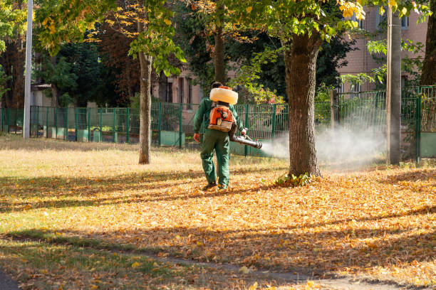 Best Flea Control Services  in Duchesne, UT