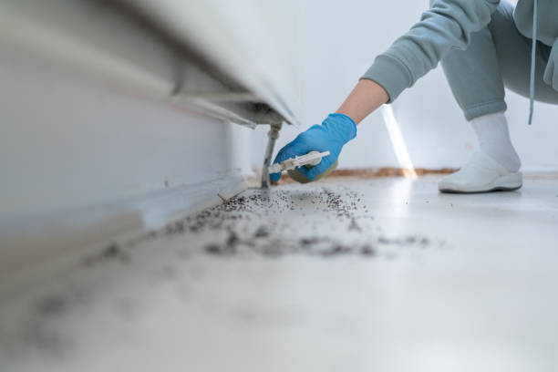 Best Pest Control Near Me  in Duchesne, UT