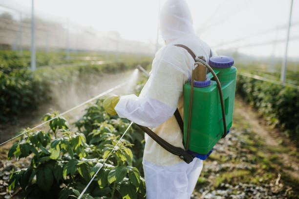 Best Pest Control for Homes  in Duchesne, UT